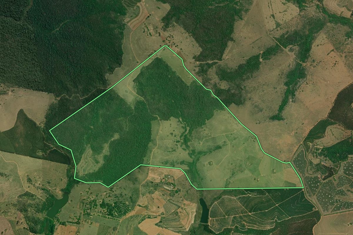 Imagem de satélite do imóvel rural em Gália (SP), com o contorno declarado no CAR desenhado por cima.