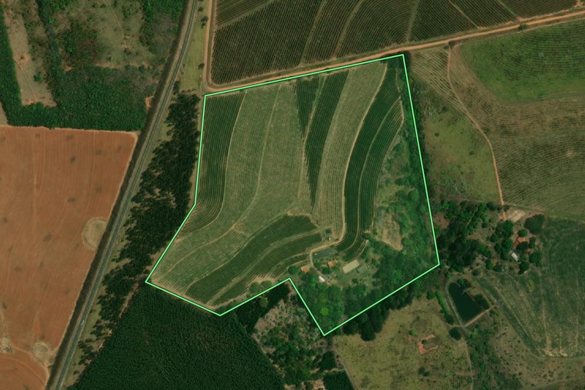 Imagem de satélite do imóvel rural em Gália (SP), com o contorno declarado no CAR desenhado por cima.
