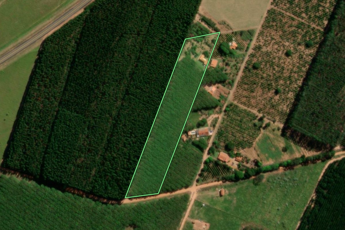 Imagem de satélite do imóvel rural em Gália (SP), com o contorno declarado no CAR desenhado por cima.