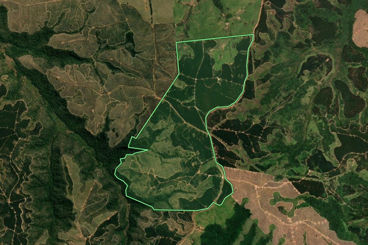 Imagem de satélite do imóvel rural em Gália (SP), com o contorno declarado no CAR desenhado por cima.