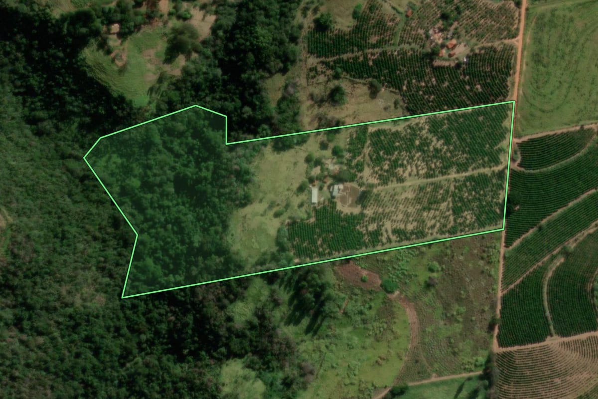 Imagem de satélite do imóvel rural em Garça (SP), com o contorno declarado no CAR desenhado por cima.