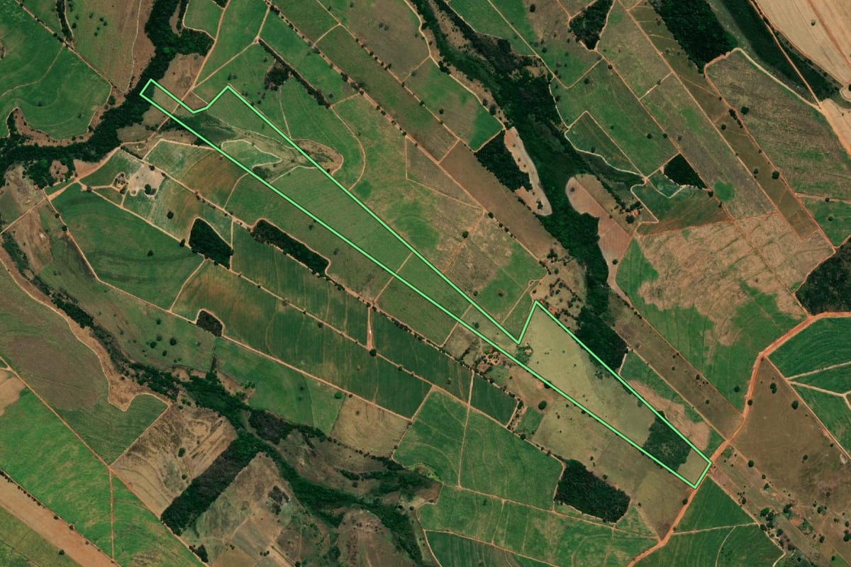 Imagem de satélite do imóvel rural em Gastão Vidigal (SP), com o contorno declarado no CAR desenhado por cima.