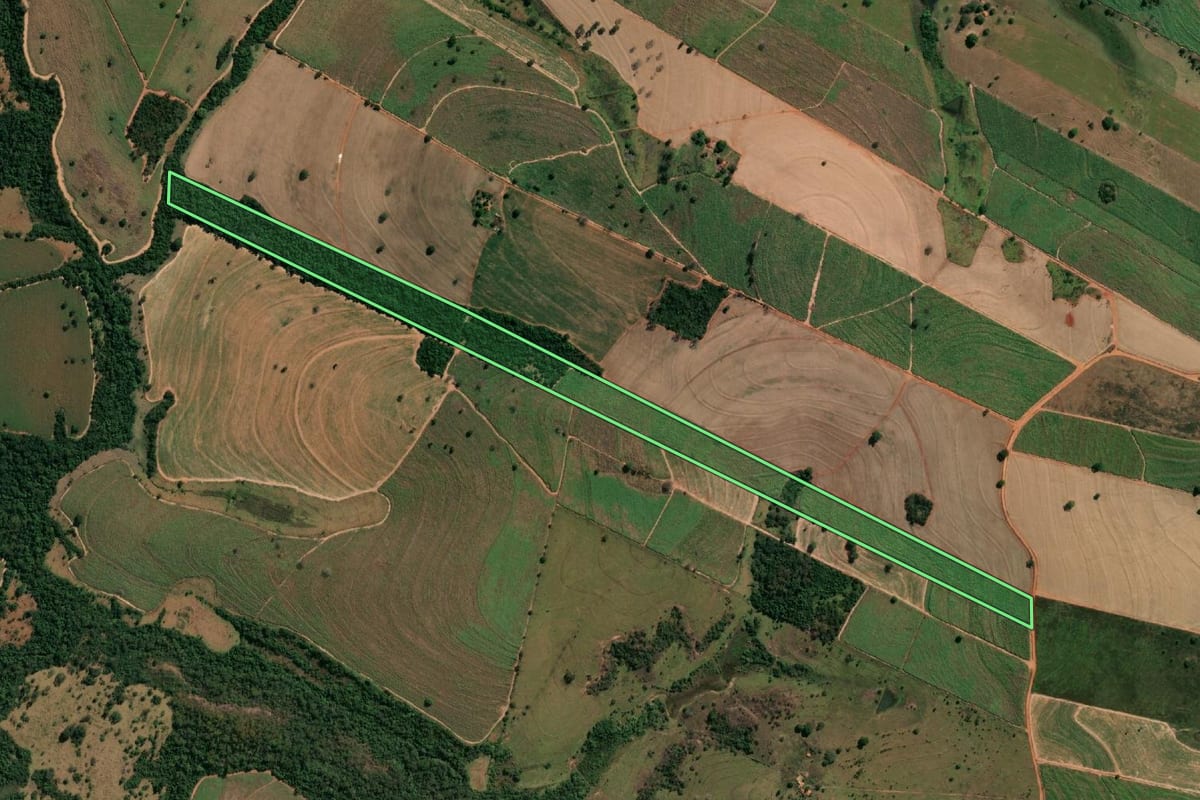 Imagem de satélite do imóvel rural em Gastão Vidigal (SP), com o contorno declarado no CAR desenhado por cima.