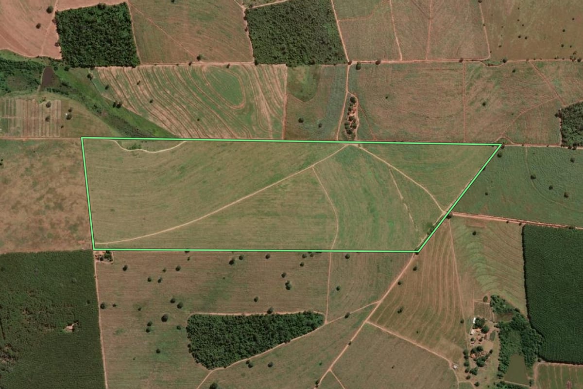 Imagem de satélite do imóvel rural em General Salgado (SP), com o contorno declarado no CAR desenhado por cima.