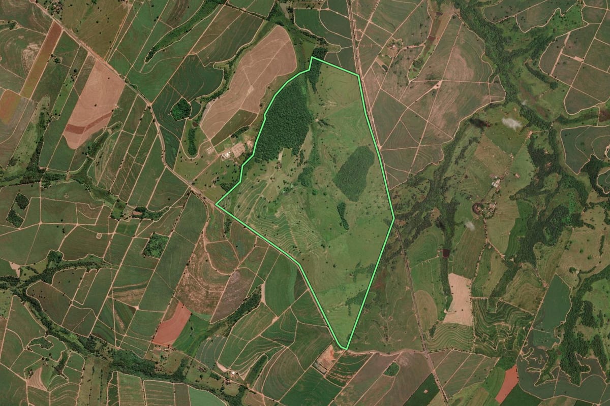 Imagem de satélite do imóvel rural em General Salgado (SP), com o contorno declarado no CAR desenhado por cima.
