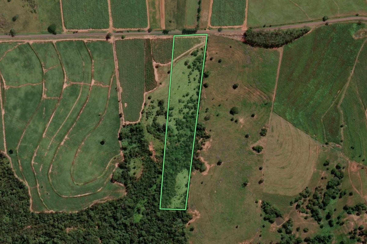 Imagem de satélite do imóvel rural em General Salgado (SP), com o contorno declarado no CAR desenhado por cima.