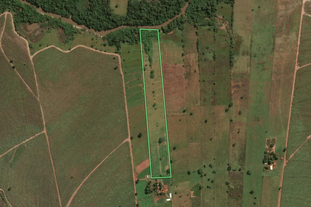 Imagem de satélite do imóvel rural em General Salgado (SP), com o contorno declarado no CAR desenhado por cima.