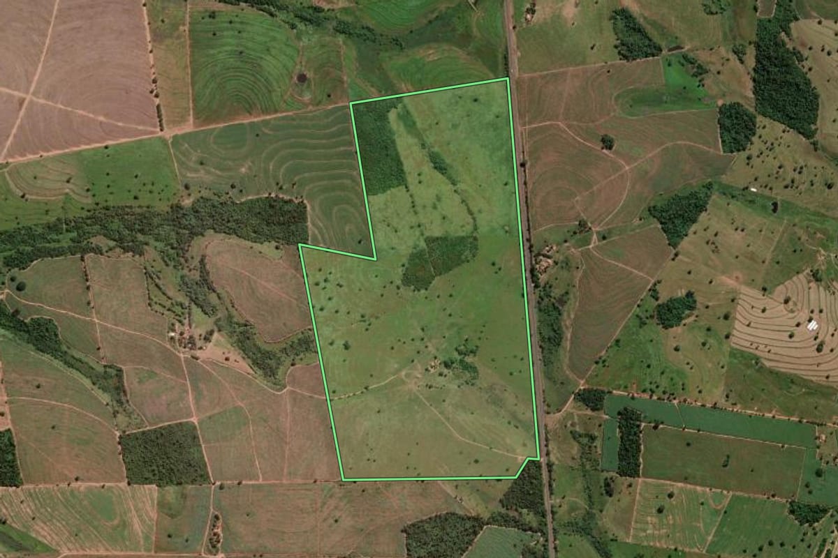 Imagem de satélite do imóvel rural em General Salgado (SP), com o contorno declarado no CAR desenhado por cima.