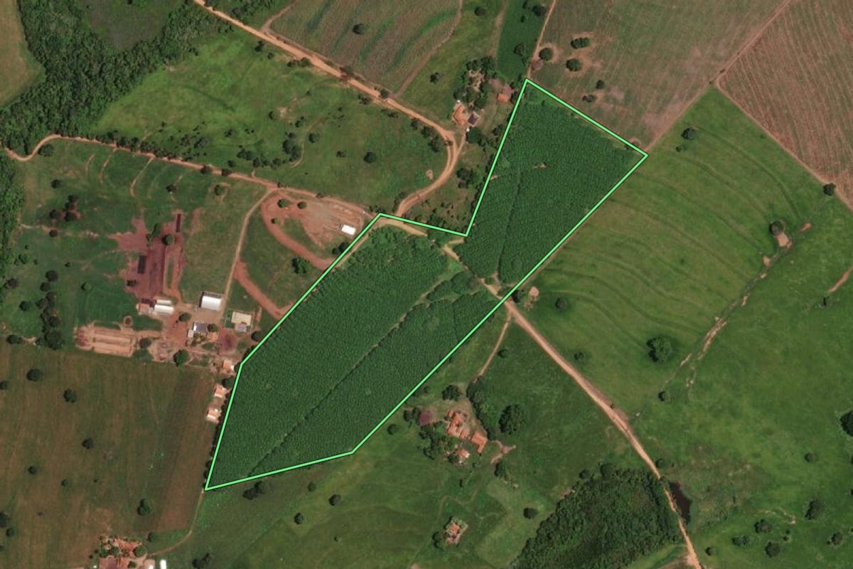 Imagem de satélite do imóvel rural em General Salgado (SP), com o contorno declarado no CAR desenhado por cima.