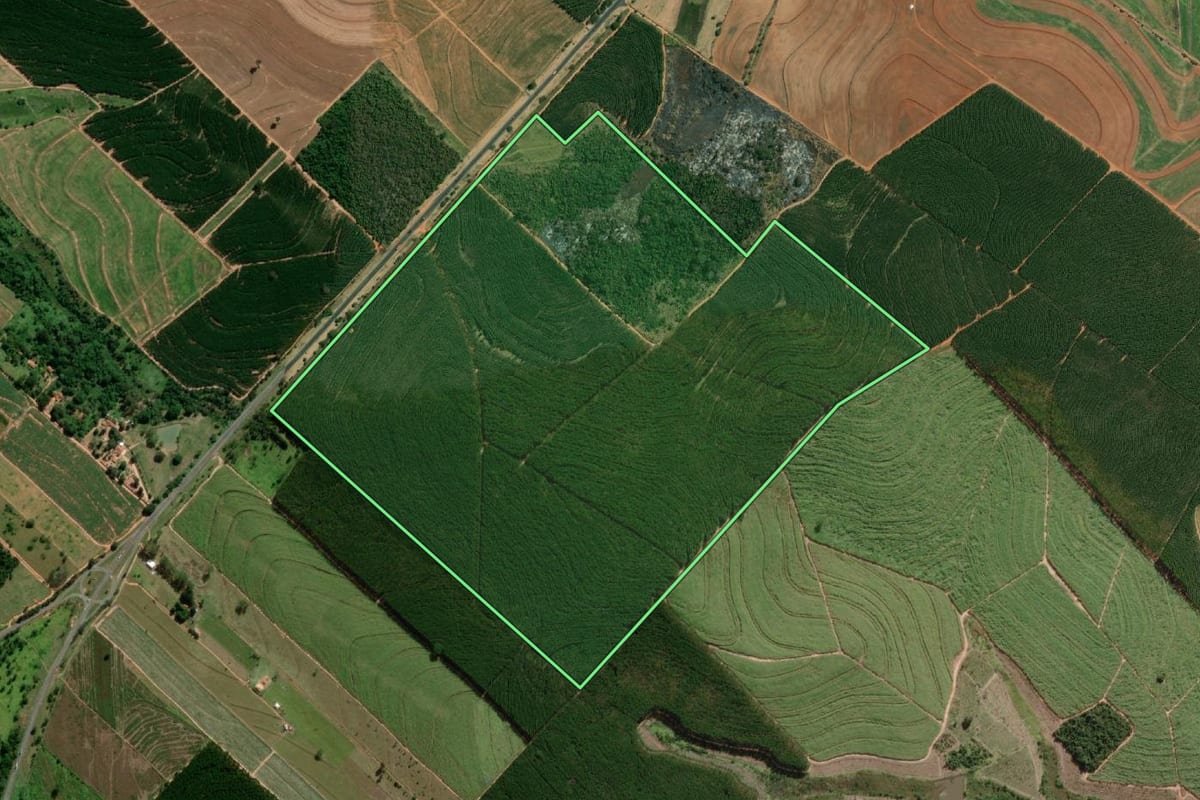 Imagem de satélite do imóvel rural em Getulina (SP), com o contorno declarado no CAR desenhado por cima.