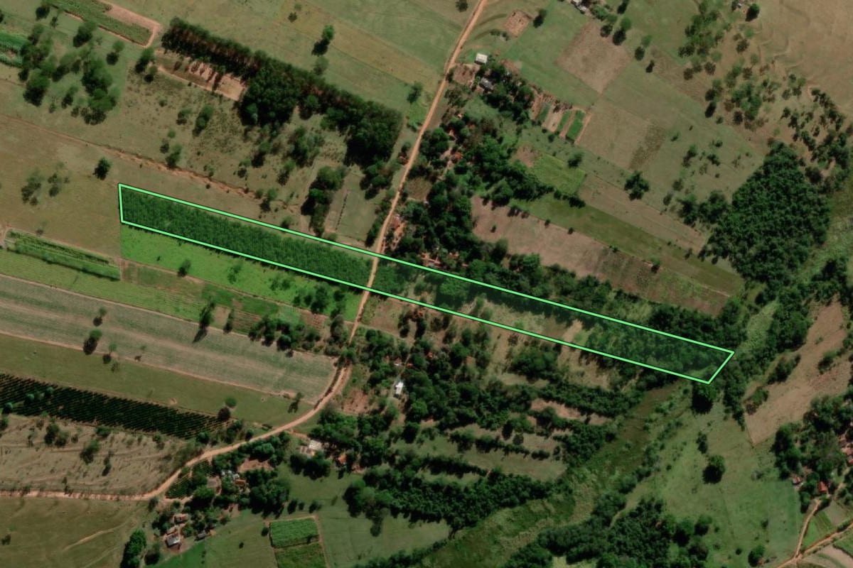Imagem de satélite do imóvel rural em Getulina (SP), com o contorno declarado no CAR desenhado por cima.