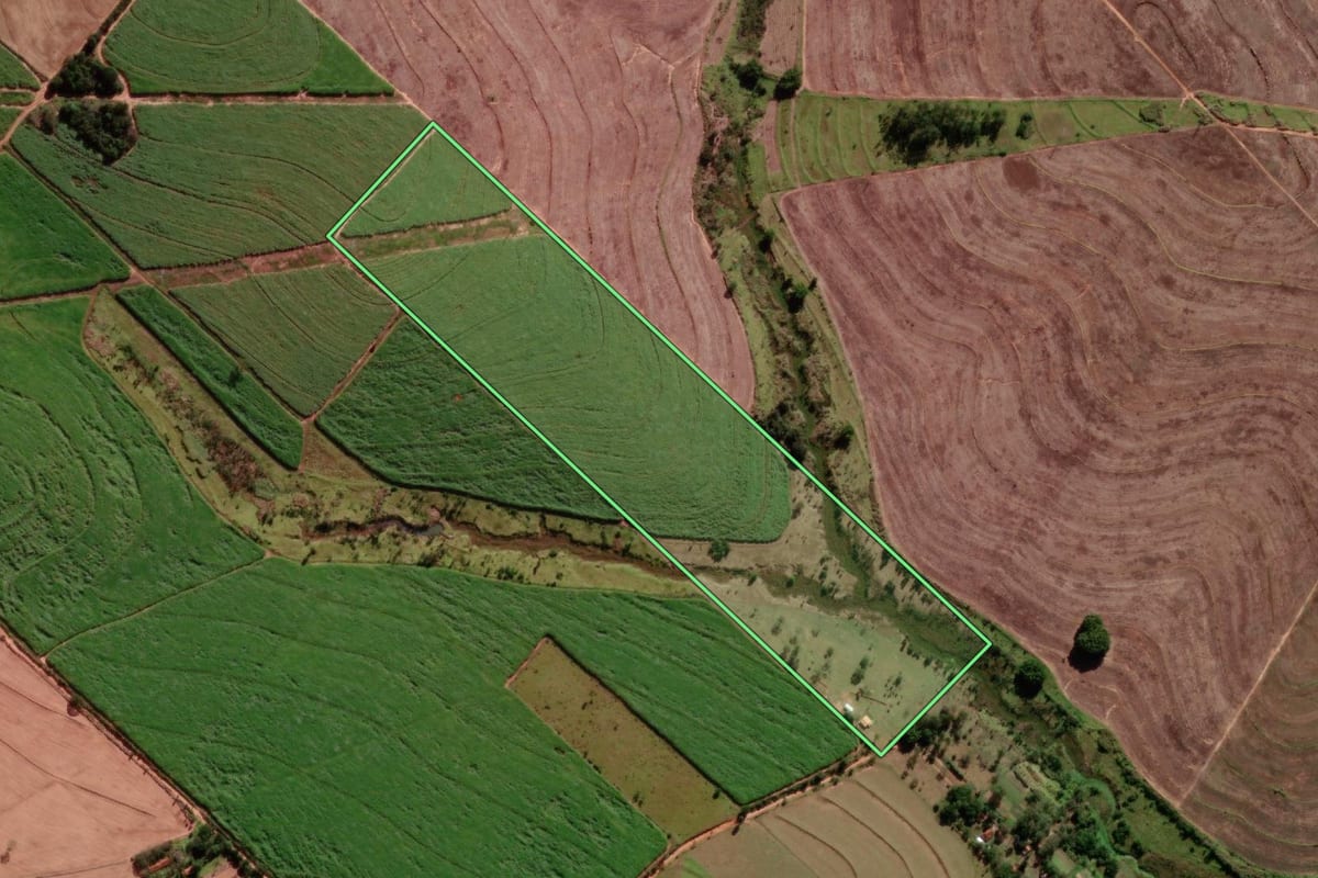 Imagem de satélite do imóvel rural em Getulina (SP), com o contorno declarado no CAR desenhado por cima.