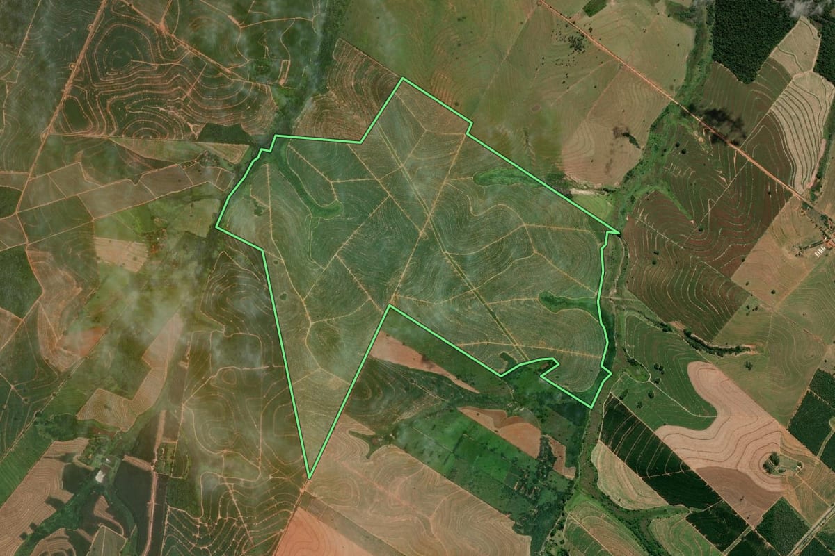 Imagem de satélite do imóvel rural em Getulina (SP), com o contorno declarado no CAR desenhado por cima.