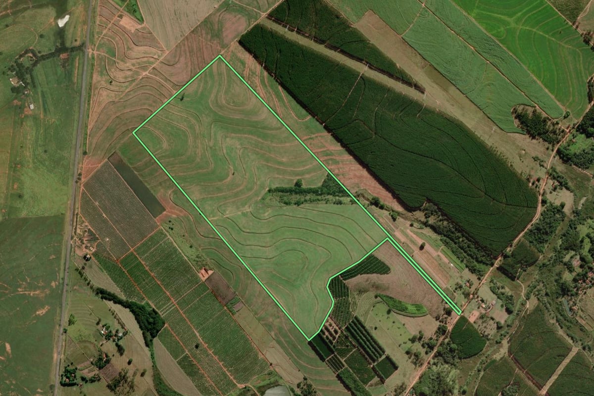 Imagem de satélite do imóvel rural em Getulina (SP), com o contorno declarado no CAR desenhado por cima.