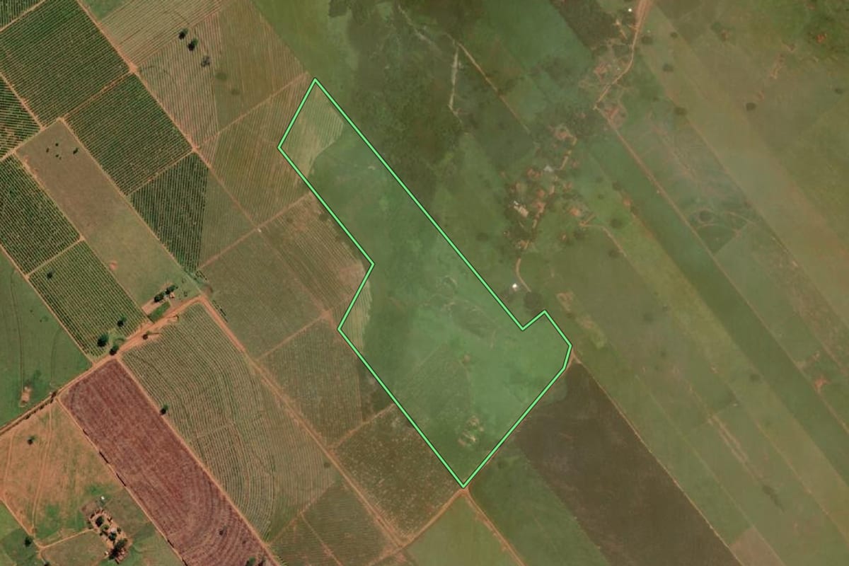 Imagem de satélite do imóvel rural em Getulina (SP), com o contorno declarado no CAR desenhado por cima.