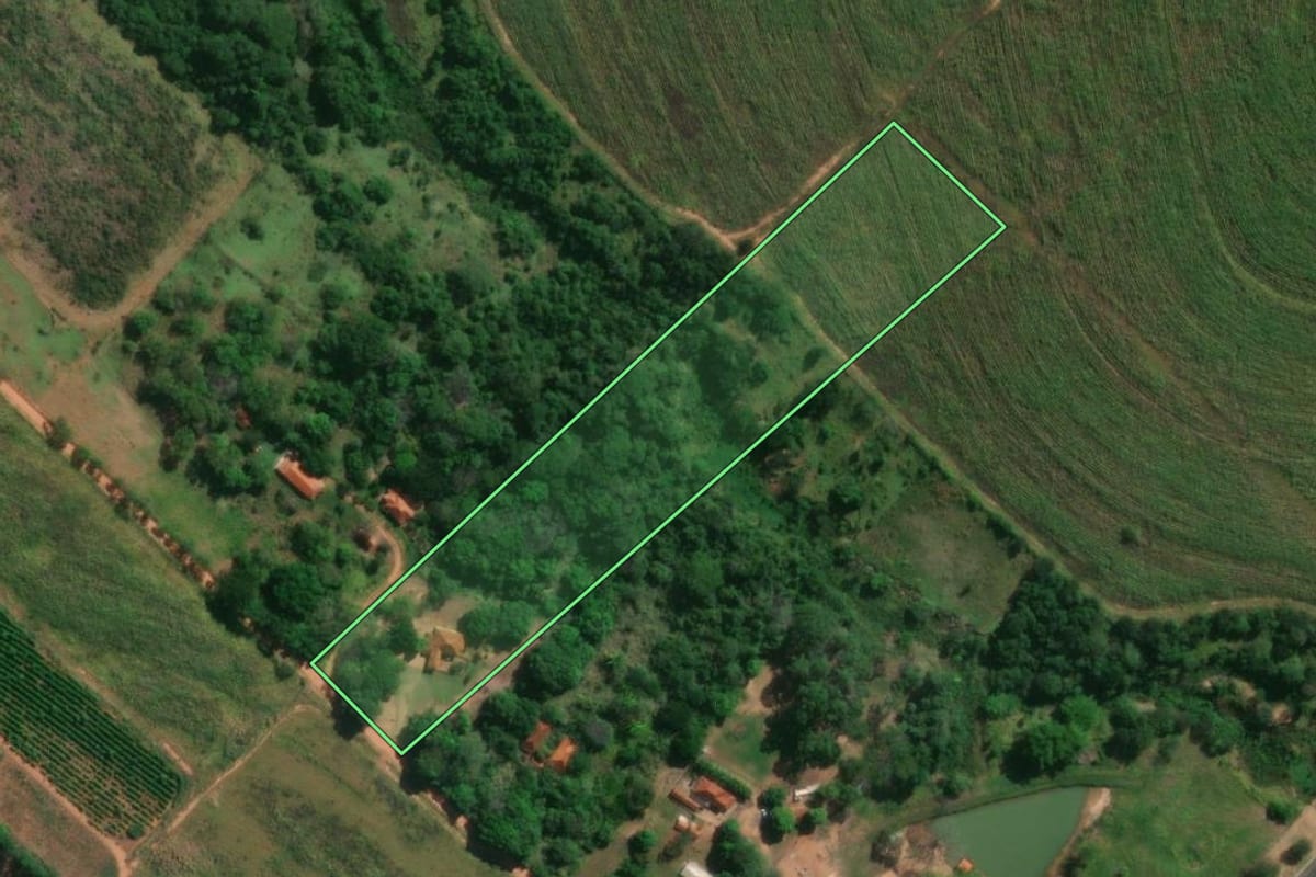 Imagem de satélite do imóvel rural em Getulina (SP), com o contorno declarado no CAR desenhado por cima.