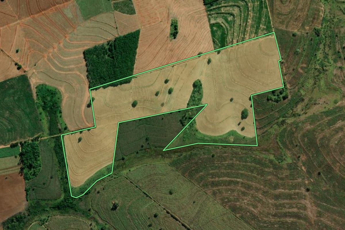 Imagem de satélite do imóvel rural em Getulina (SP), com o contorno declarado no CAR desenhado por cima.