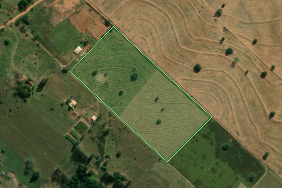 Imagem de satélite do imóvel rural em Getulina (SP), com o contorno declarado no CAR desenhado por cima.