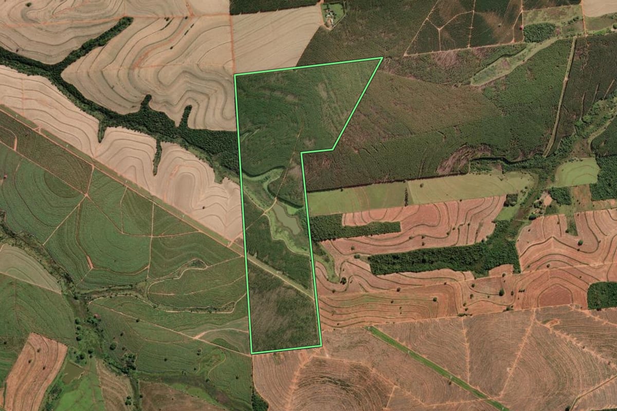 Imagem de satélite do imóvel rural em Getulina (SP), com o contorno declarado no CAR desenhado por cima.