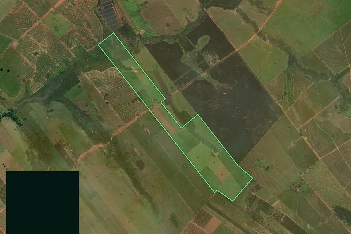Imagem de satélite do imóvel rural em Getulina (SP), com o contorno declarado no CAR desenhado por cima.