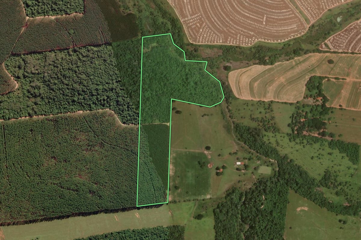 Imagem de satélite do imóvel rural em Getulina (SP), com o contorno declarado no CAR desenhado por cima.