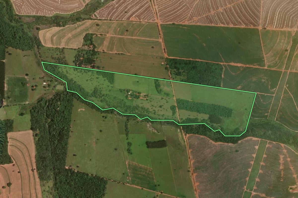 Imagem de satélite do imóvel rural em Getulina (SP), com o contorno declarado no CAR desenhado por cima.