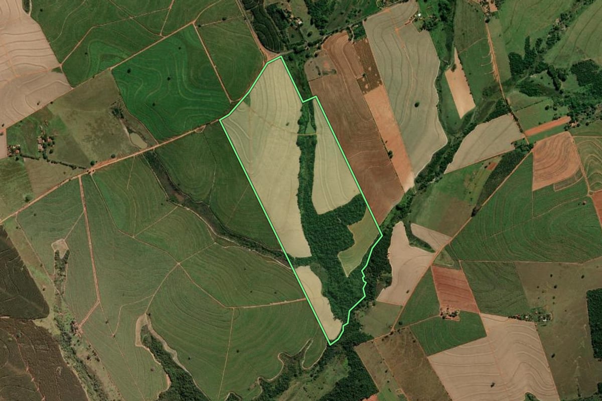 Imagem de satélite do imóvel rural em Getulina (SP), com o contorno declarado no CAR desenhado por cima.
