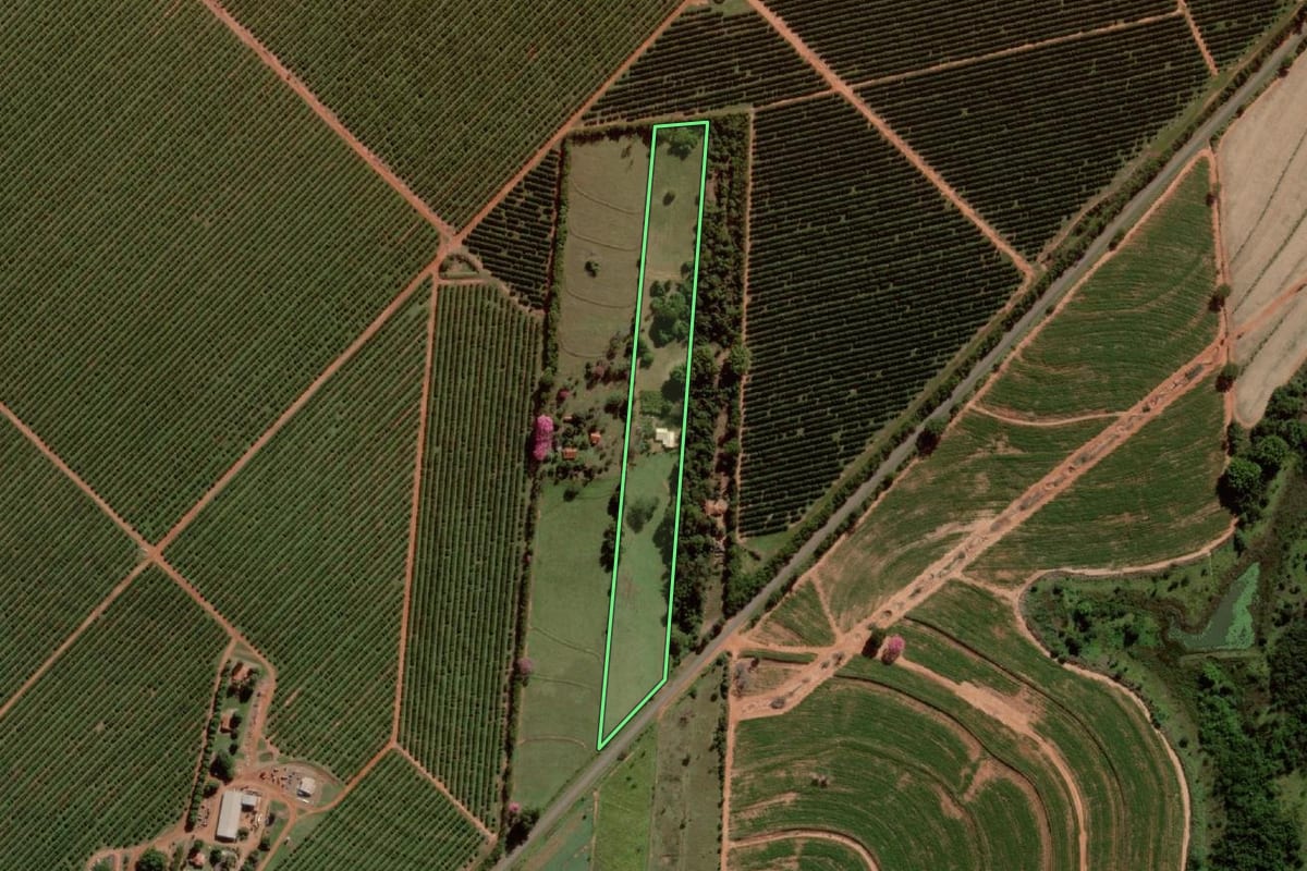Imagem de satélite do imóvel rural em Getulina (SP), com o contorno declarado no CAR desenhado por cima.