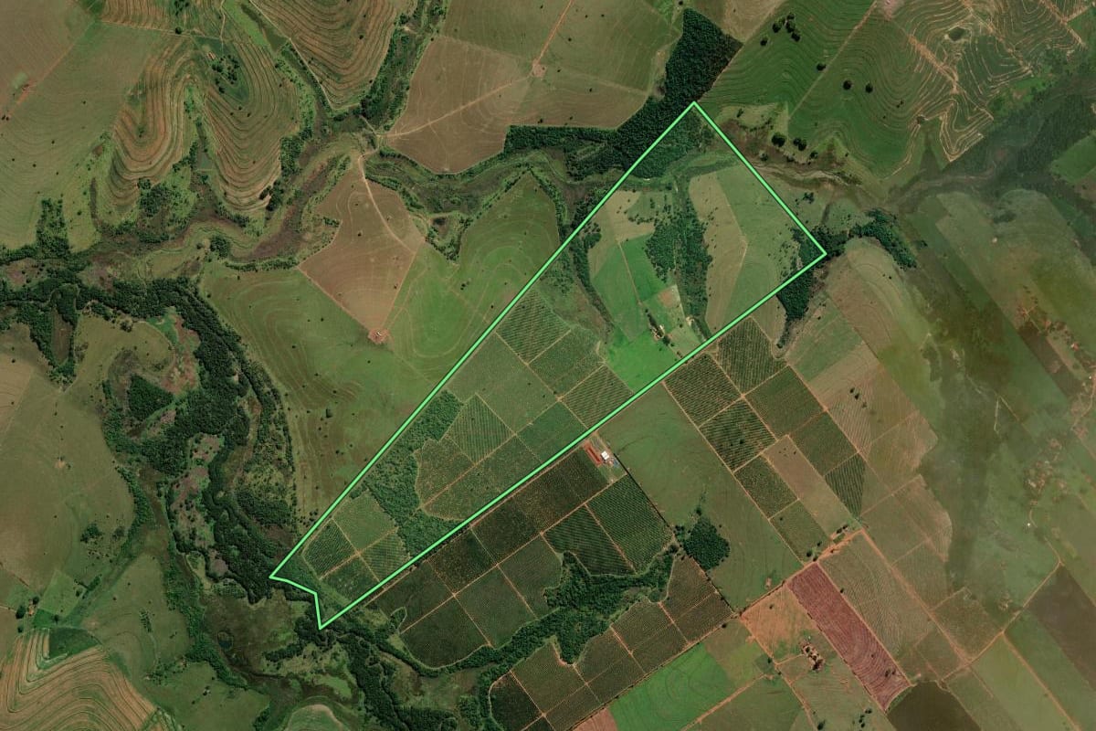 Imagem de satélite do imóvel rural em Getulina (SP), com o contorno declarado no CAR desenhado por cima.