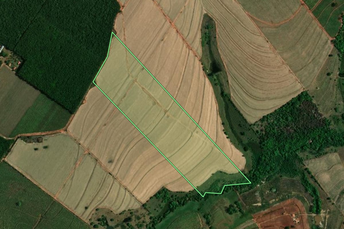 Imagem de satélite do imóvel rural em Glicério (SP), com o contorno declarado no CAR desenhado por cima.