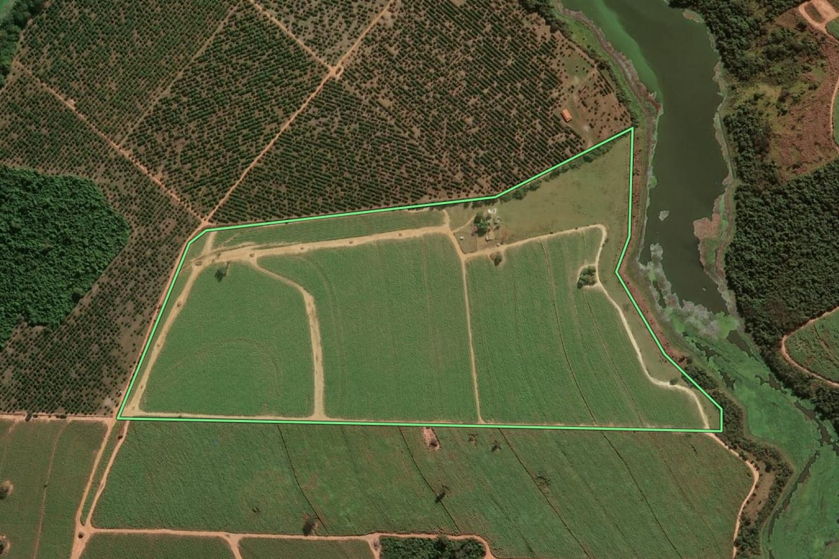 Imagem de satélite do imóvel rural em Guaiçara (SP), com o contorno declarado no CAR desenhado por cima.