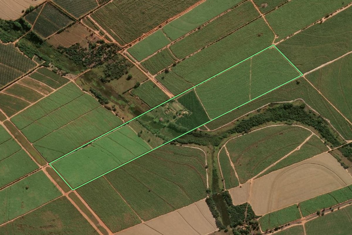 Imagem de satélite do imóvel rural em Guaiçara (SP), com o contorno declarado no CAR desenhado por cima.