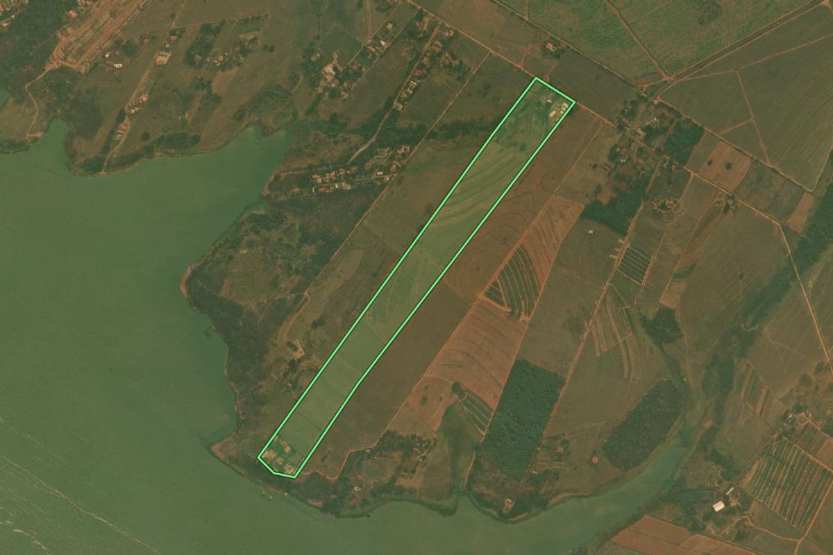 Imagem de satélite do imóvel rural em Guaiçara (SP), com o contorno declarado no CAR desenhado por cima.