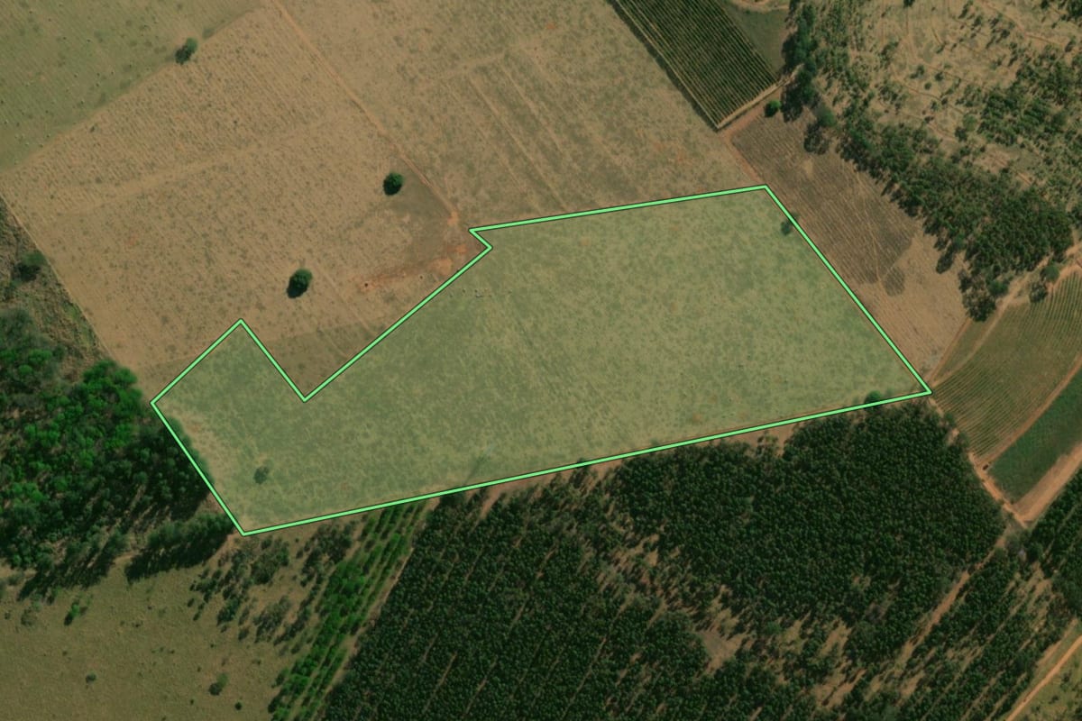 Imagem de satélite do imóvel rural em Guaimbê (SP), com o contorno declarado no CAR desenhado por cima.