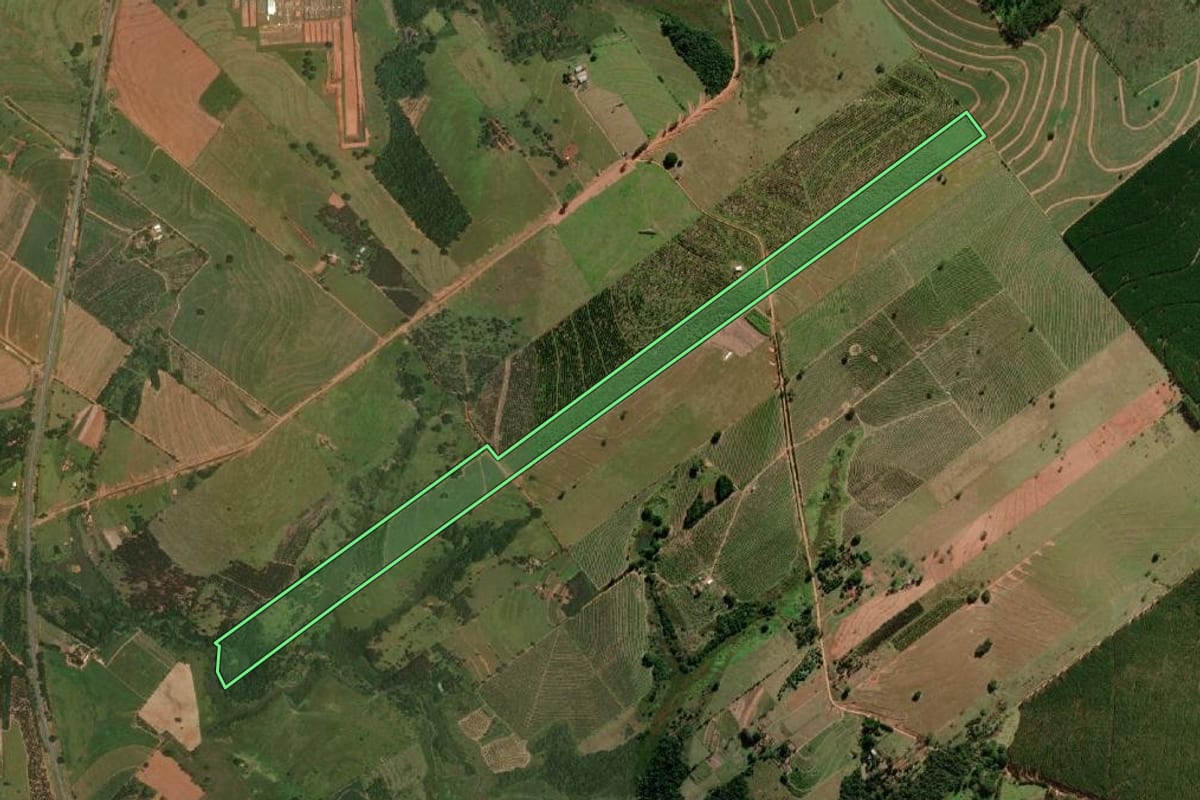 Imagem de satélite do imóvel rural em Guaimbê (SP), com o contorno declarado no CAR desenhado por cima.