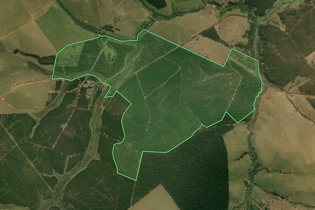 Imagem de satélite do imóvel rural em Guaimbê (SP), com o contorno declarado no CAR desenhado por cima.