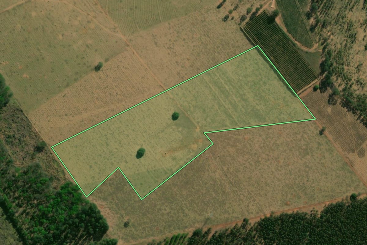 Imagem de satélite do imóvel rural em Guaimbê (SP), com o contorno declarado no CAR desenhado por cima.