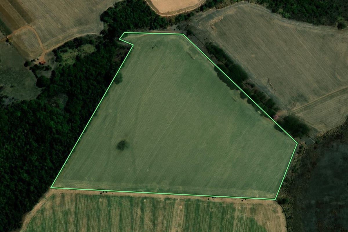 Imagem de satélite do imóvel rural em Guaíra (SP), com o contorno declarado no CAR desenhado por cima.