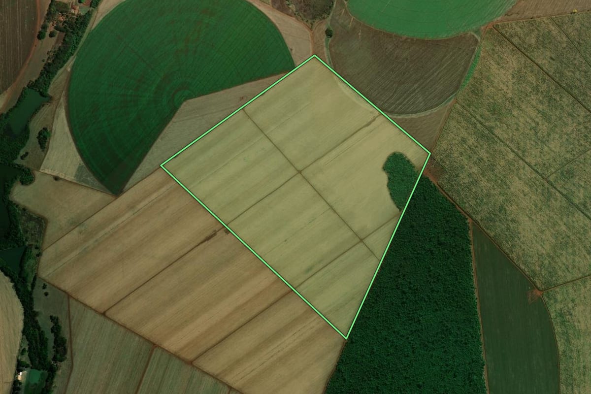 Imagem de satélite do imóvel rural em Guaíra (SP), com o contorno declarado no CAR desenhado por cima.