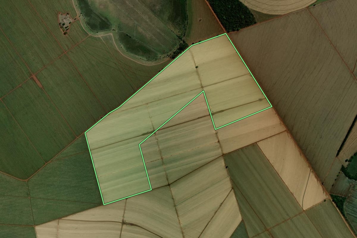 Imagem de satélite do imóvel rural em Guaíra (SP), com o contorno declarado no CAR desenhado por cima.
