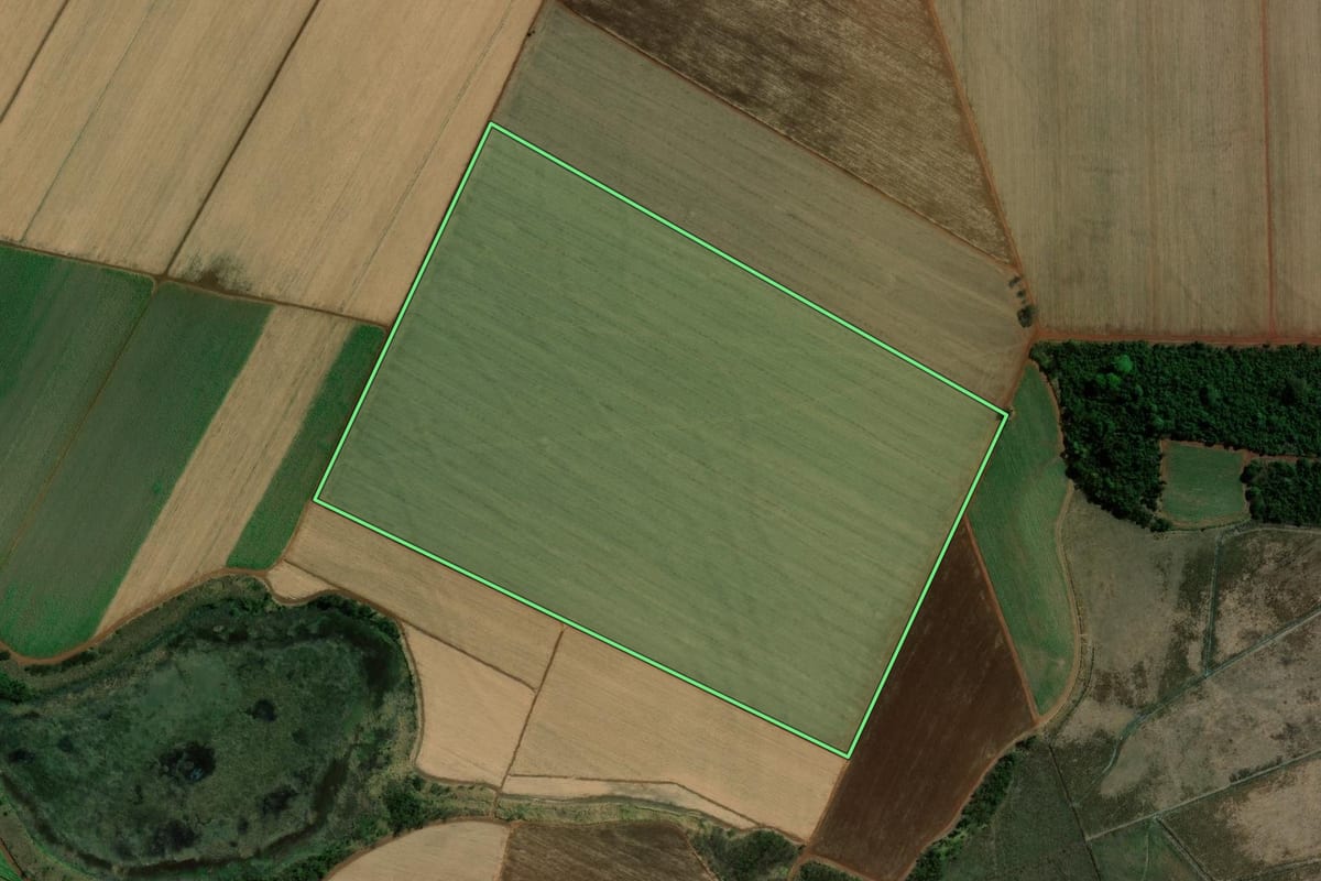Imagem de satélite do imóvel rural em Guaíra (SP), com o contorno declarado no CAR desenhado por cima.