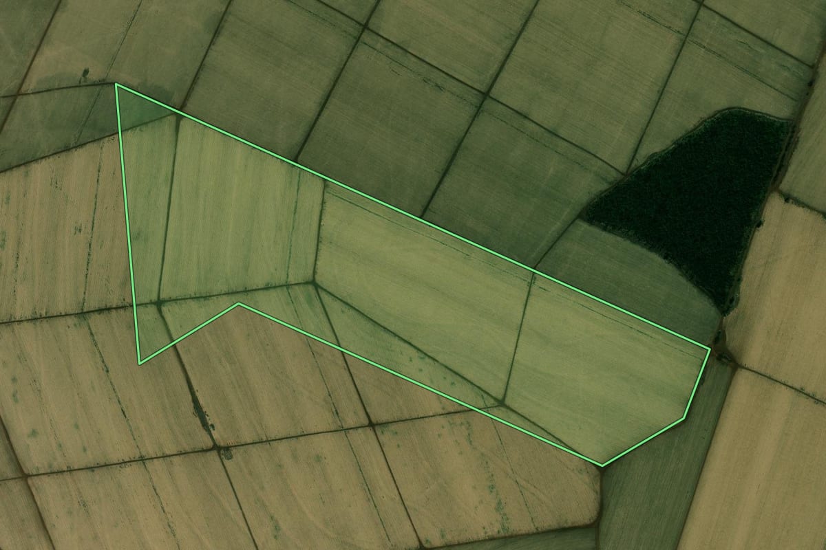 Imagem de satélite do imóvel rural em Guaíra (SP), com o contorno declarado no CAR desenhado por cima.
