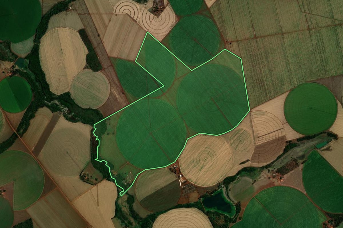 Imagem de satélite do imóvel rural em Guaíra (SP), com o contorno declarado no CAR desenhado por cima.