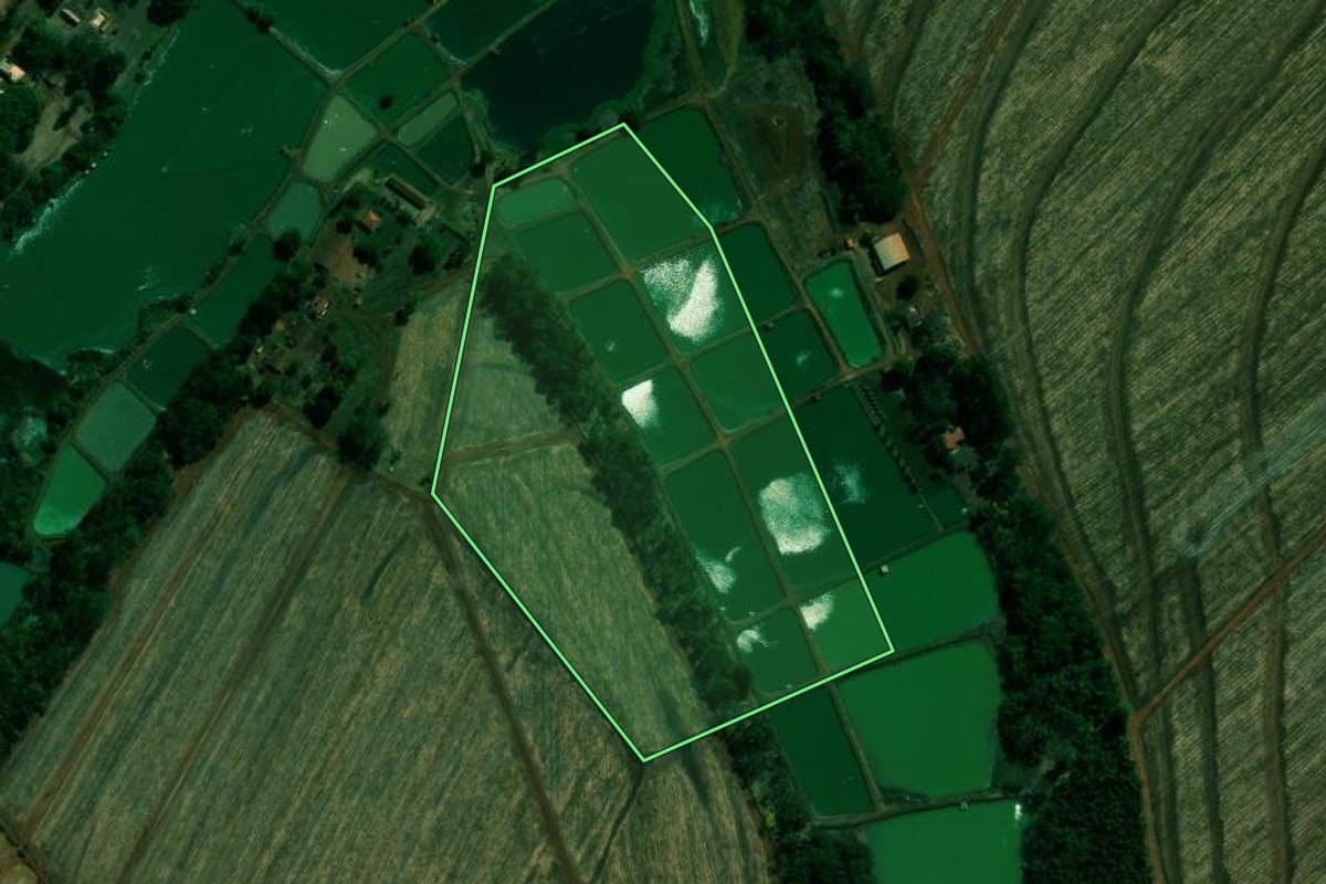 Imagem de satélite do imóvel rural em Guaíra (SP), com o contorno declarado no CAR desenhado por cima.