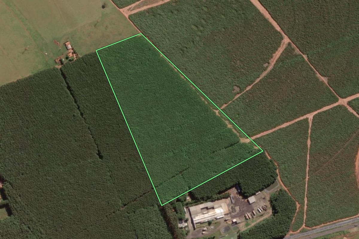 Imagem de satélite do imóvel rural em Guapiaçu (SP), com o contorno declarado no CAR desenhado por cima.