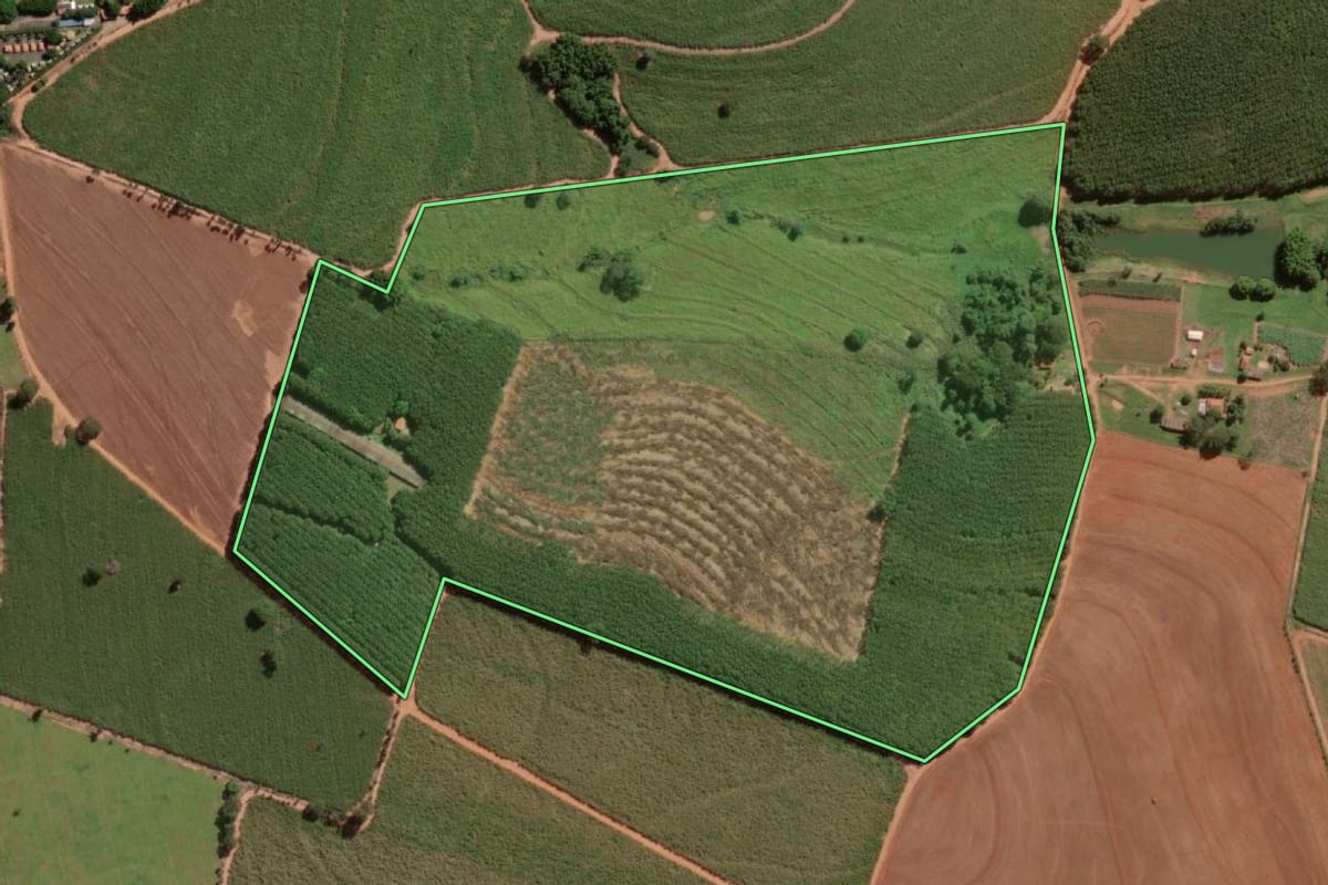 Imagem de satélite do imóvel rural em Guapiaçu (SP), com o contorno declarado no CAR desenhado por cima.