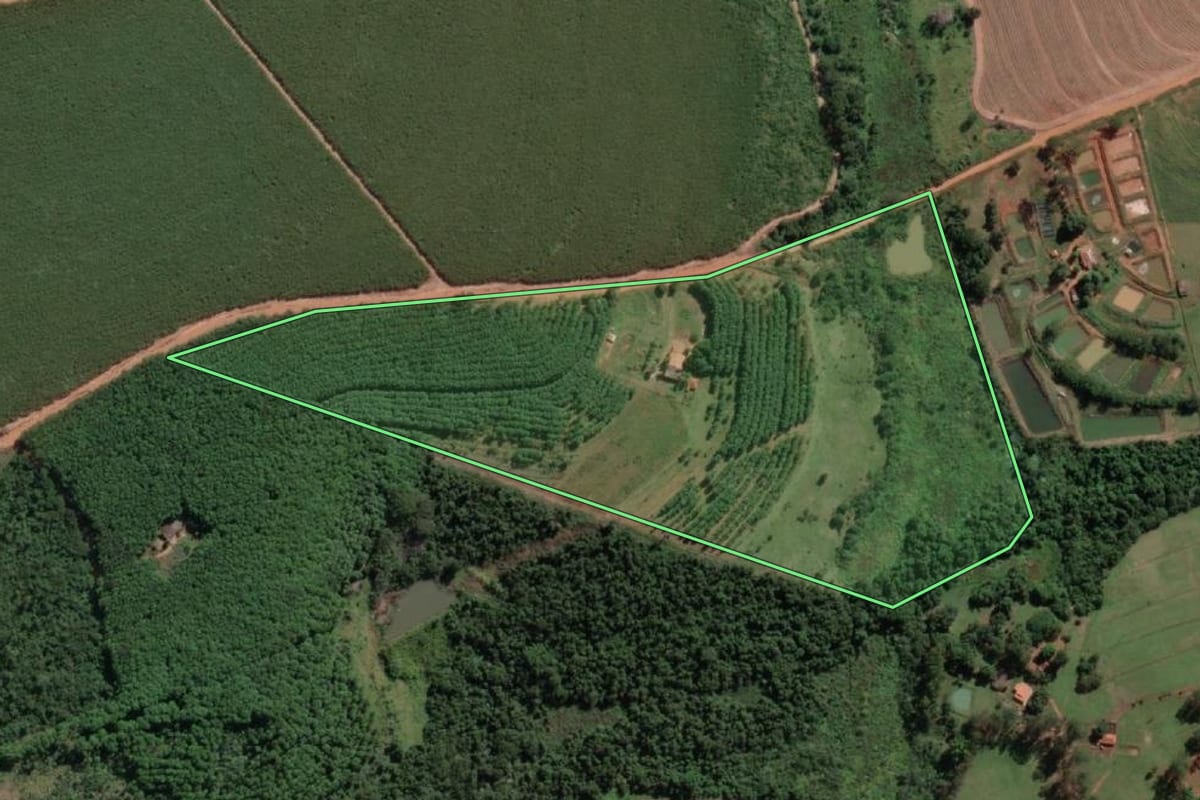 Imagem de satélite do imóvel rural em Guapiaçu (SP), com o contorno declarado no CAR desenhado por cima.