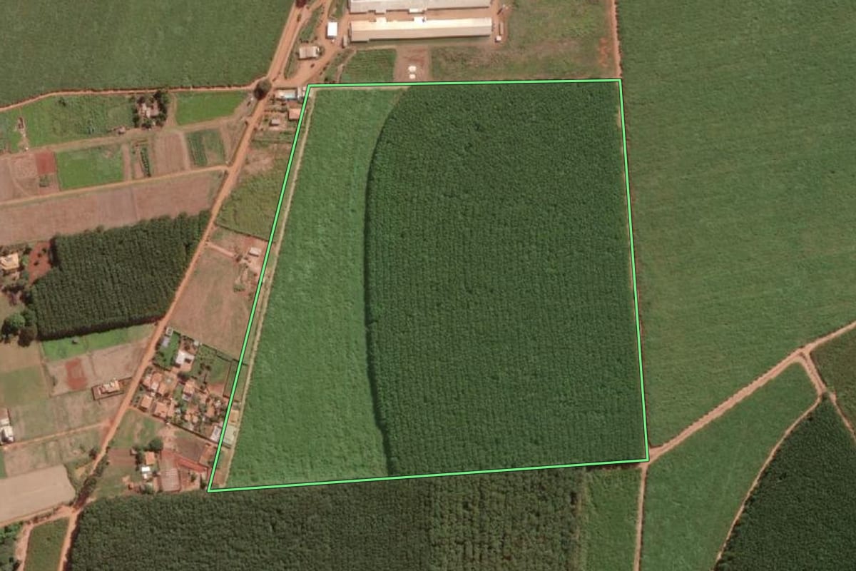 Imagem de satélite do imóvel rural em Guapiaçu (SP), com o contorno declarado no CAR desenhado por cima.