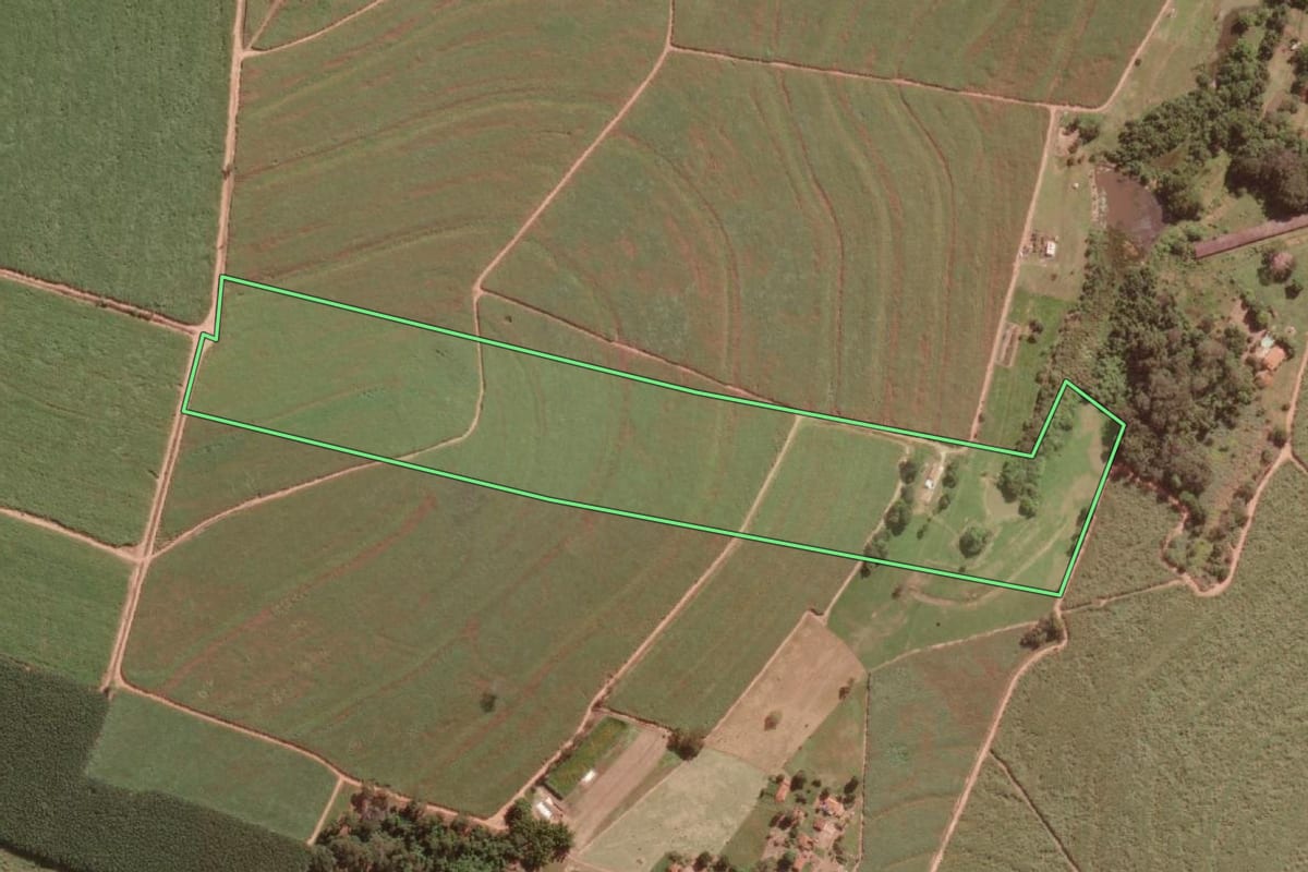 Imagem de satélite do imóvel rural em Guapiaçu (SP), com o contorno declarado no CAR desenhado por cima.