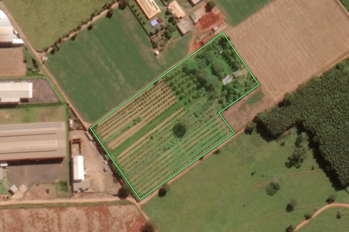 Imagem de satélite do imóvel rural em Guapiaçu (SP), com o contorno declarado no CAR desenhado por cima.
